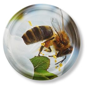 Mézesüveg lapka - MIOD2, 82 mm