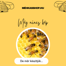Cleanair szűrő A1B1E1P3